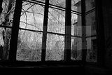 heilanstalt milbitz_185